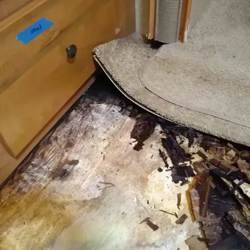 Best Wood Floor Water Damage Service in West Sand Lake, NY